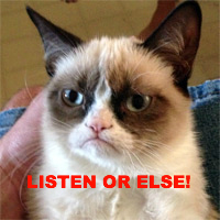 Grumpy-Cat listen